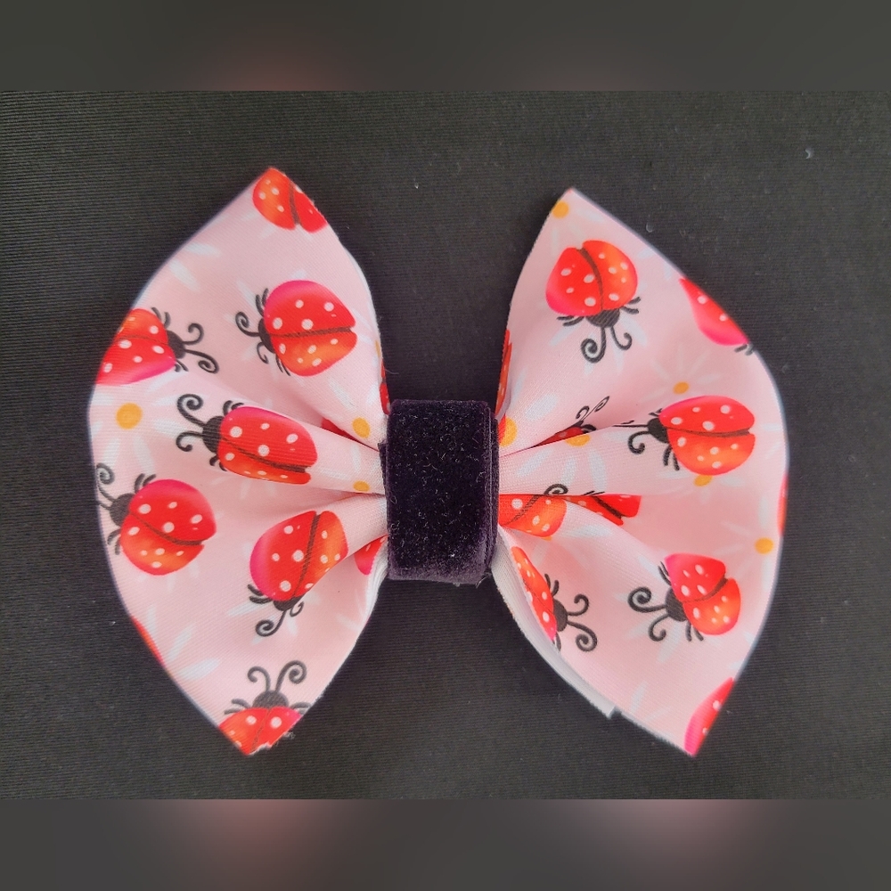 Ladybug bow